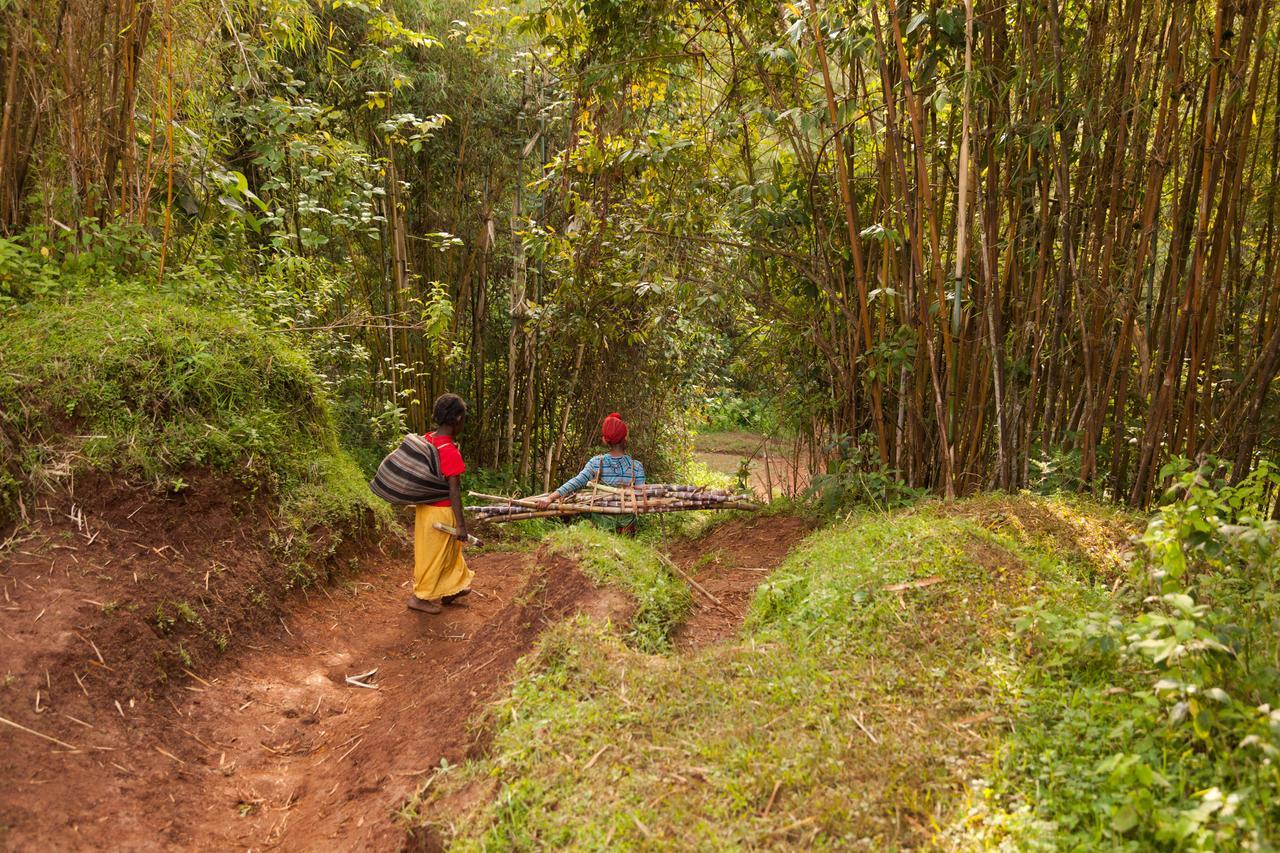 Dorze Lodge Arba Minch Buitenkant foto